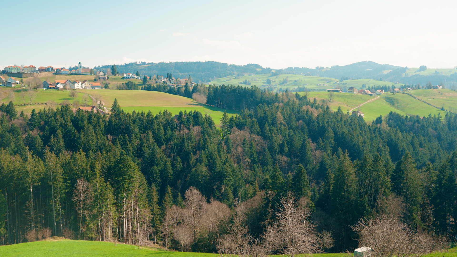 Harmonia. – Szene 10 