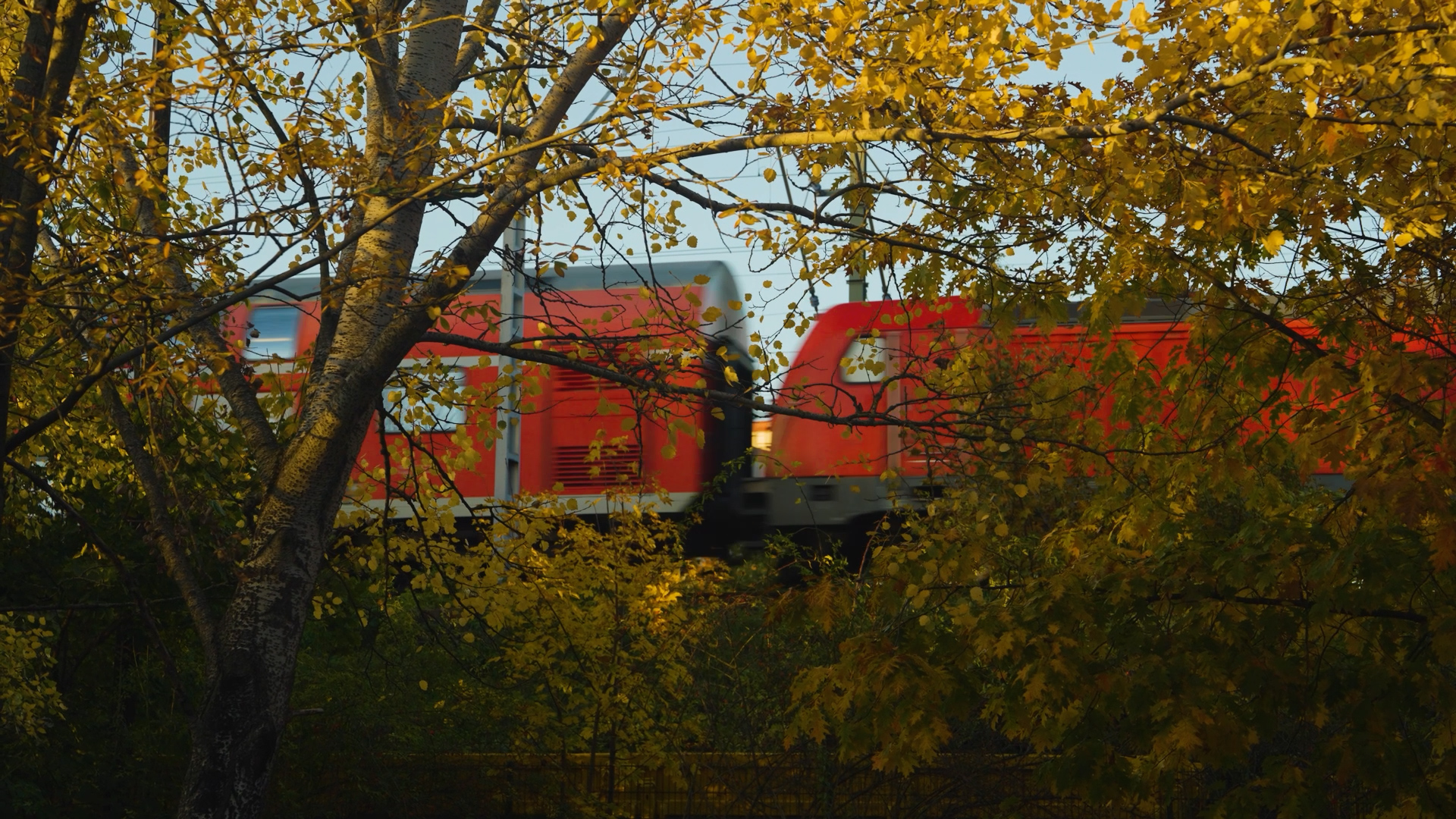 Kunst ohne Heimat – Szene 6